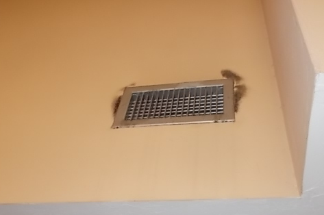 Is this black mold around my ac vent in the bathroom? : r