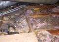 How long does fiberglass attic insulation last?