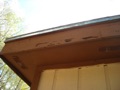 Does a termite inspector also check for carpenter bees?