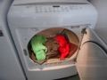 Does code require venting a dryer outside?