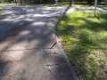What causes cracks in a driveway?