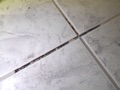 Why is the grout cracking and coming loose at my floor tile?