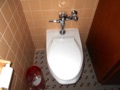 Can I install a commercial (wall-mounted flushometer) toilet in my home?