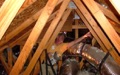 What are the most common problems with wood roof trusses?