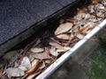 Does a home inspector check gutters?