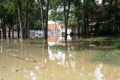 Should I buy a house that has hurricane flood damage?