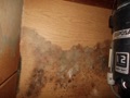 What can I do to prevent mold problems in my home?