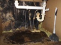 Do home inspectors check for mold?