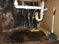 MOLD, LEAD & OTHER CONTAMINANTS