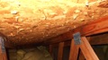 What is the difference between plywood and OSB?