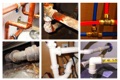 What is included in a plumbing inspection by a home inspector?