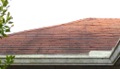 Why is a popped nail in a shingle roof a problem? How do I fix it?