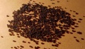 What does roach poop (fecal pellets) look like?