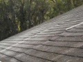 What causes shingles to buckle along a line on the roof?