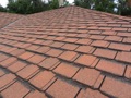 Do asphalt shingles need time to settle and adhere?