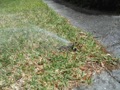 What problems does a landscape sprinkler system have when it is not used for a long time?