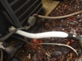 The coolant line to the outside unit of my air conditioner is frozen. What's wrong?