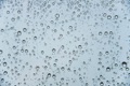 Why does condensation form on the outside of some windows and not others in the morning?