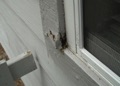 How do I fix wood rot  that's listed in my termite-WDO report?