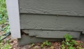 What causes wood rot on a home?