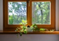 What is the average life expectancy of a wood window?