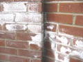 What are those powdery white areas on my brick walls?